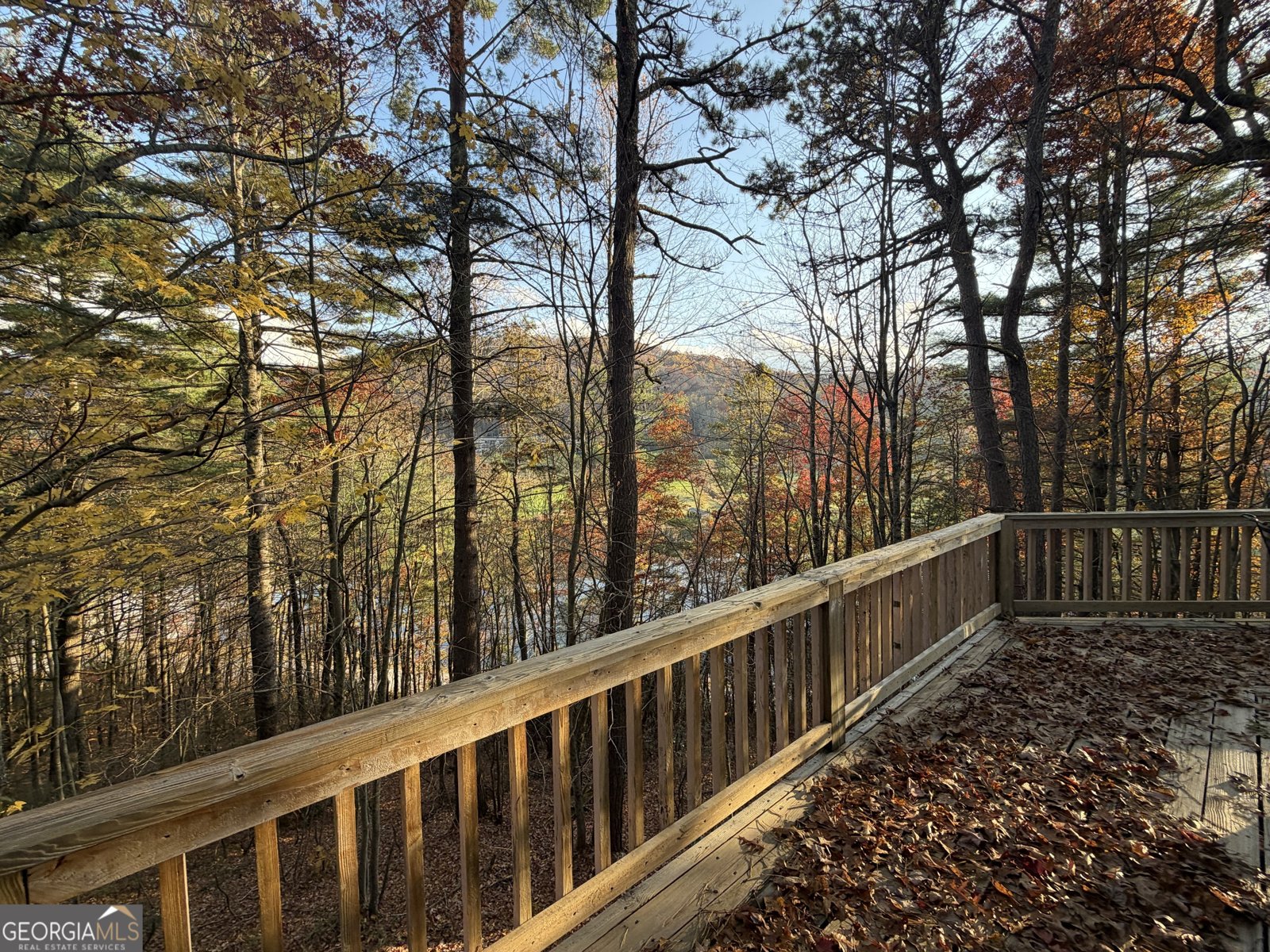 47 Brasstown Lane Dillard - 2