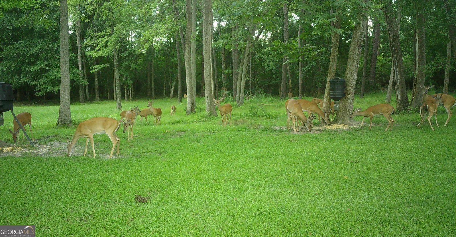 5002 Addison Trail Statesboro - 35