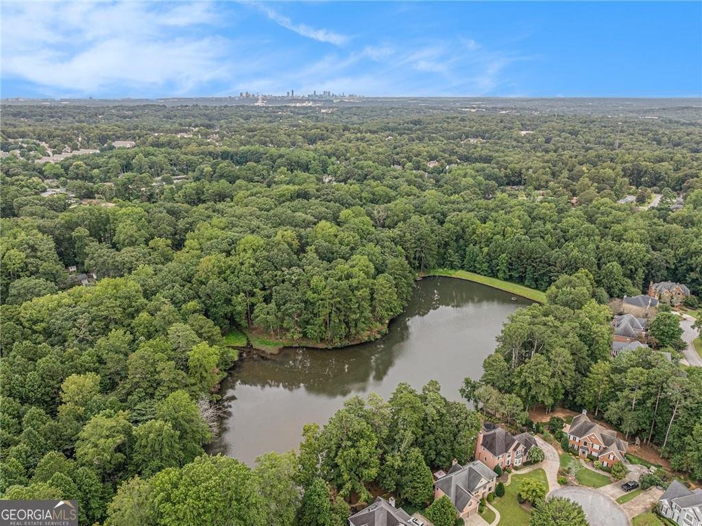 3654 Lake Drive Smyrna - 23