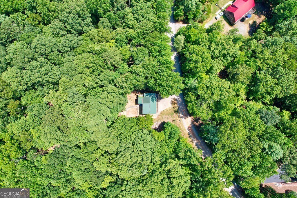 154 Rapsody Circle Ellijay - 50