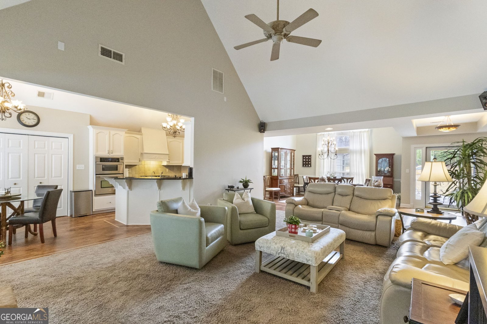 190 Bontura Drive Senoia - 12