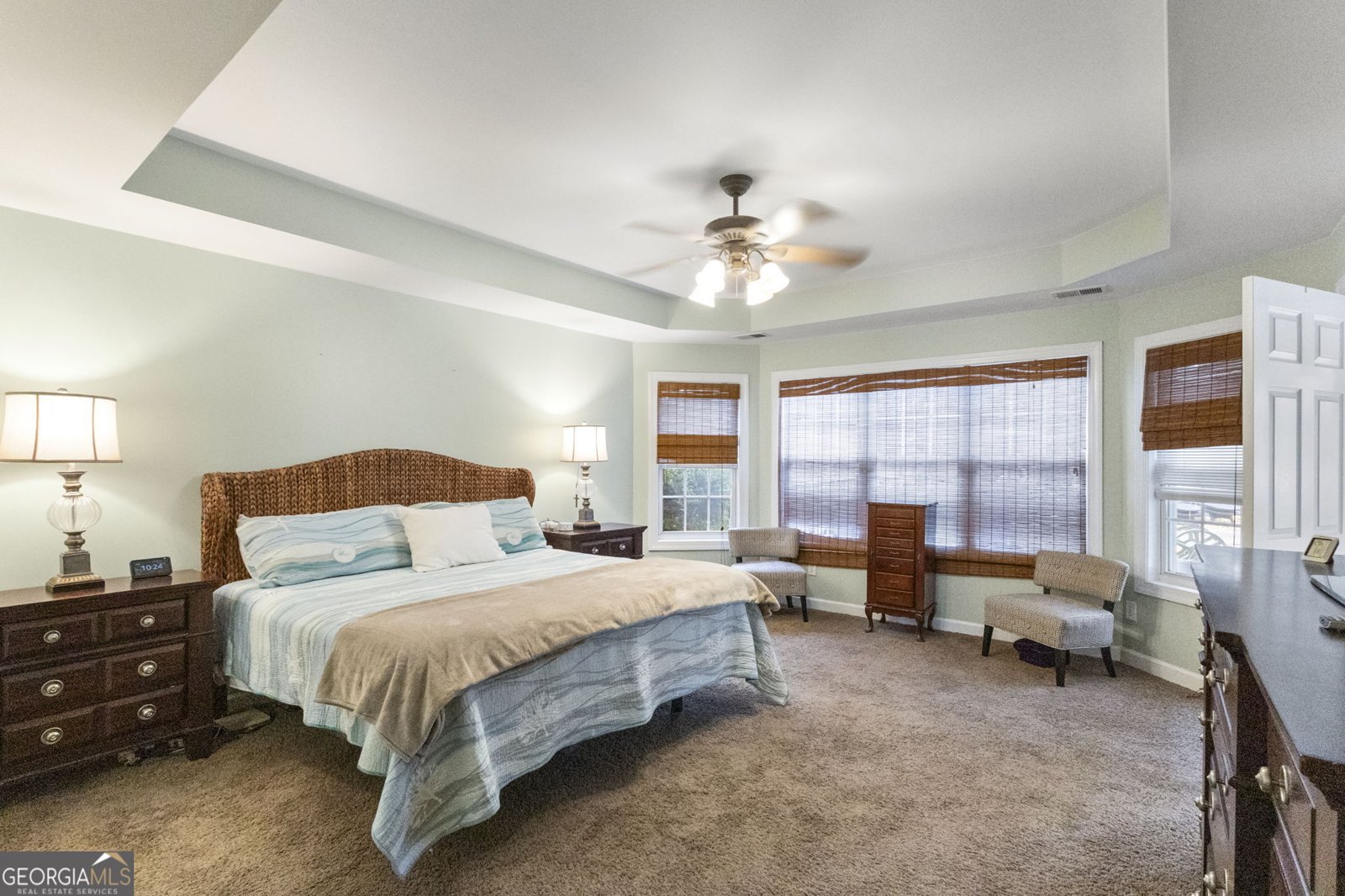 190 Bontura Drive Senoia - 22