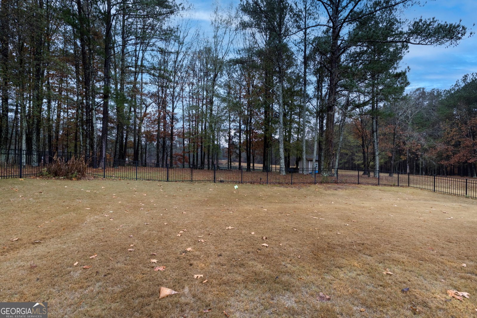 190 Bontura Drive Senoia - 41