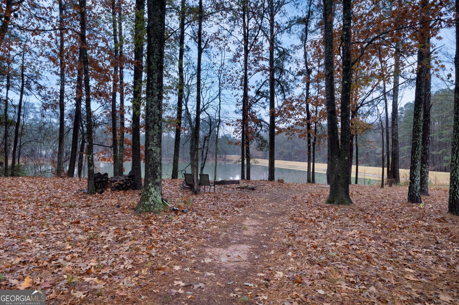 190 Bontura Drive Senoia - 42