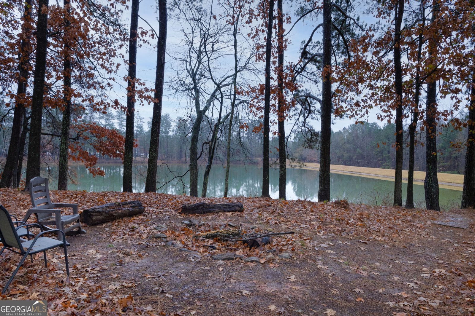 190 Bontura Drive Senoia - 43