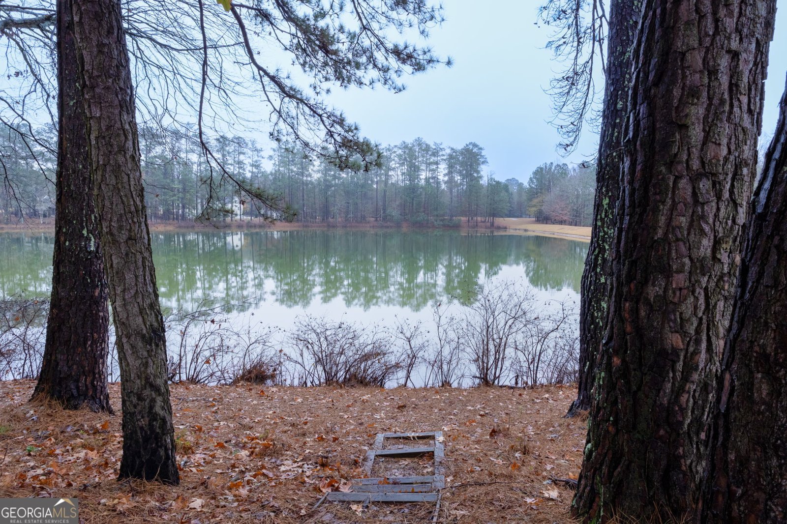 190 Bontura Drive Senoia - 44