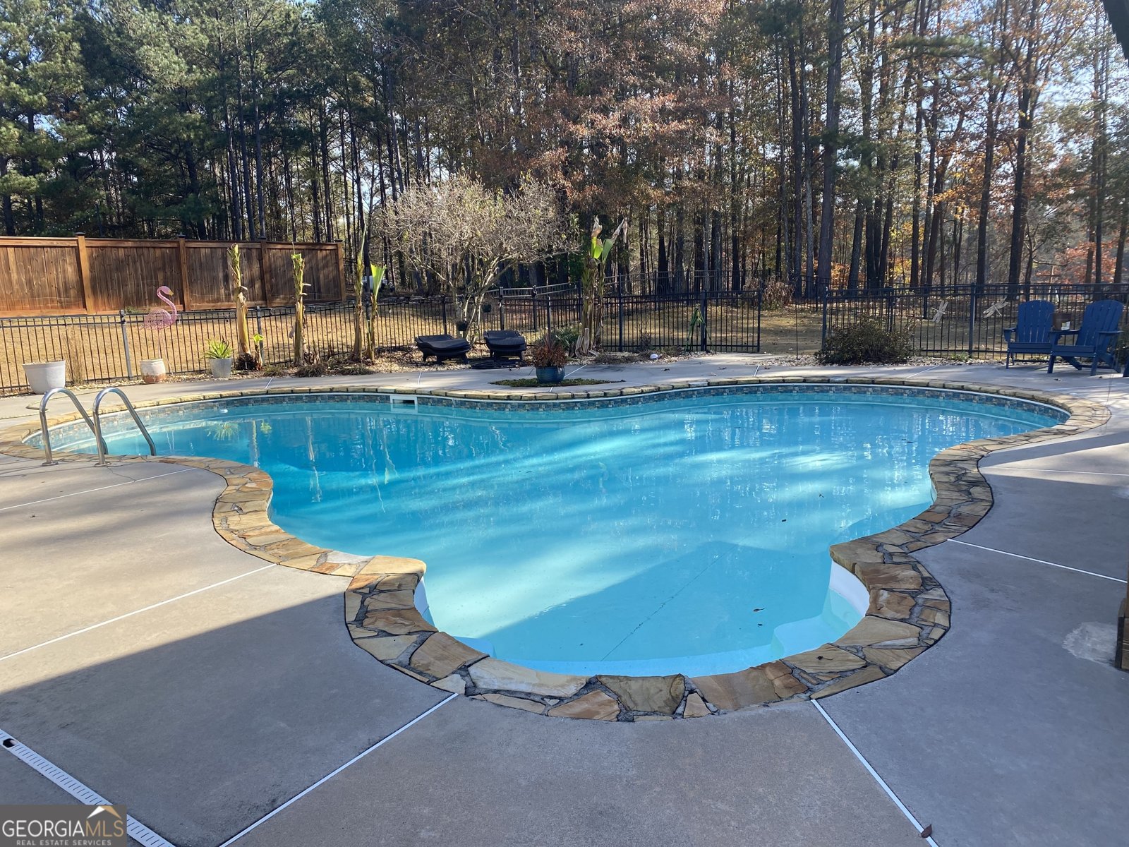 190 Bontura Drive Senoia - 5