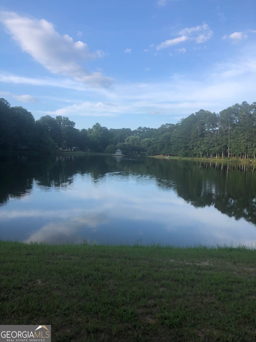 190 Bontura Drive Senoia - 6