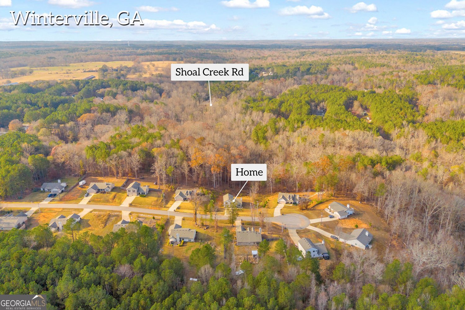 147 Conifer Court Winterville - 3