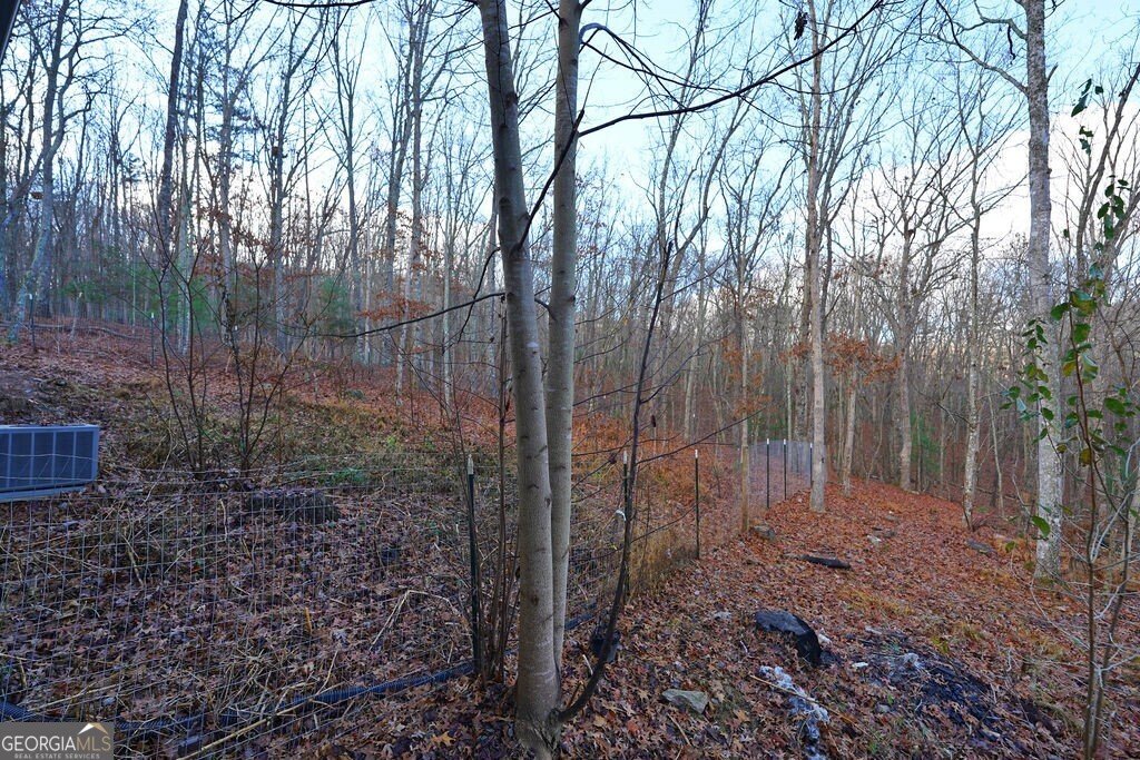 254 Mountain Woods Road Blairsville - 38