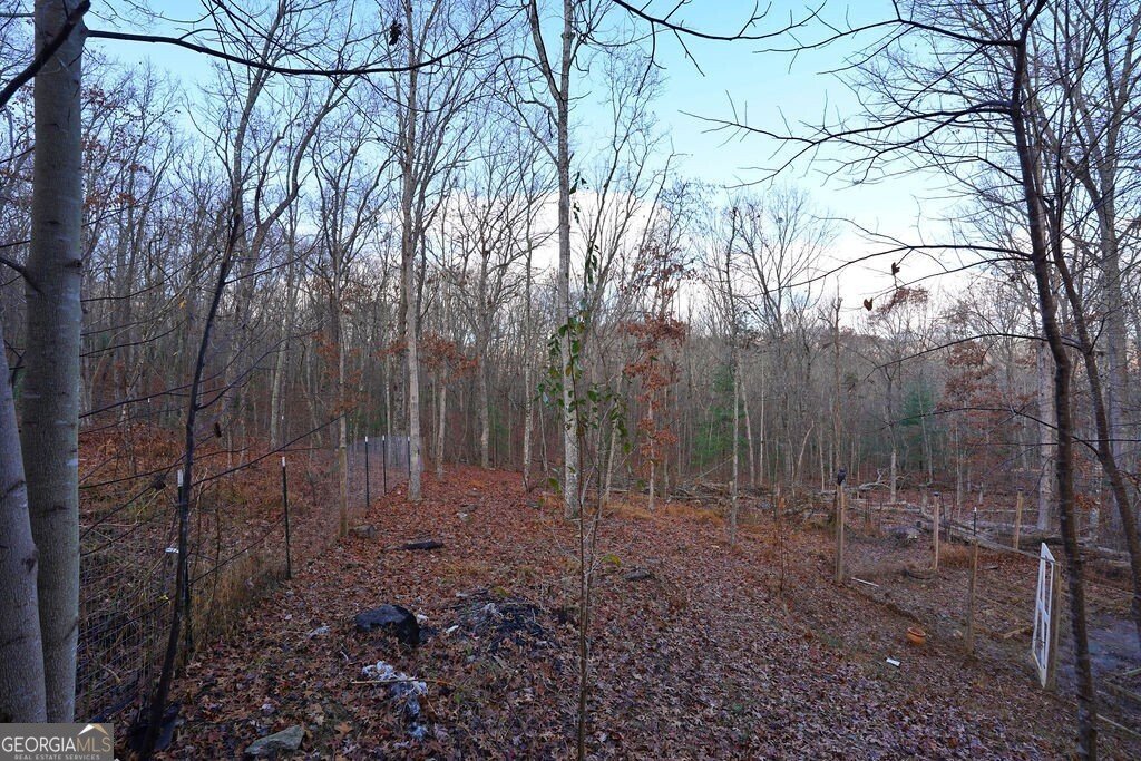 254 Mountain Woods Road Blairsville - 39