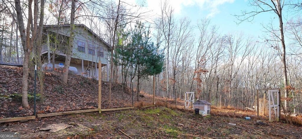 254 Mountain Woods Road Blairsville - 58