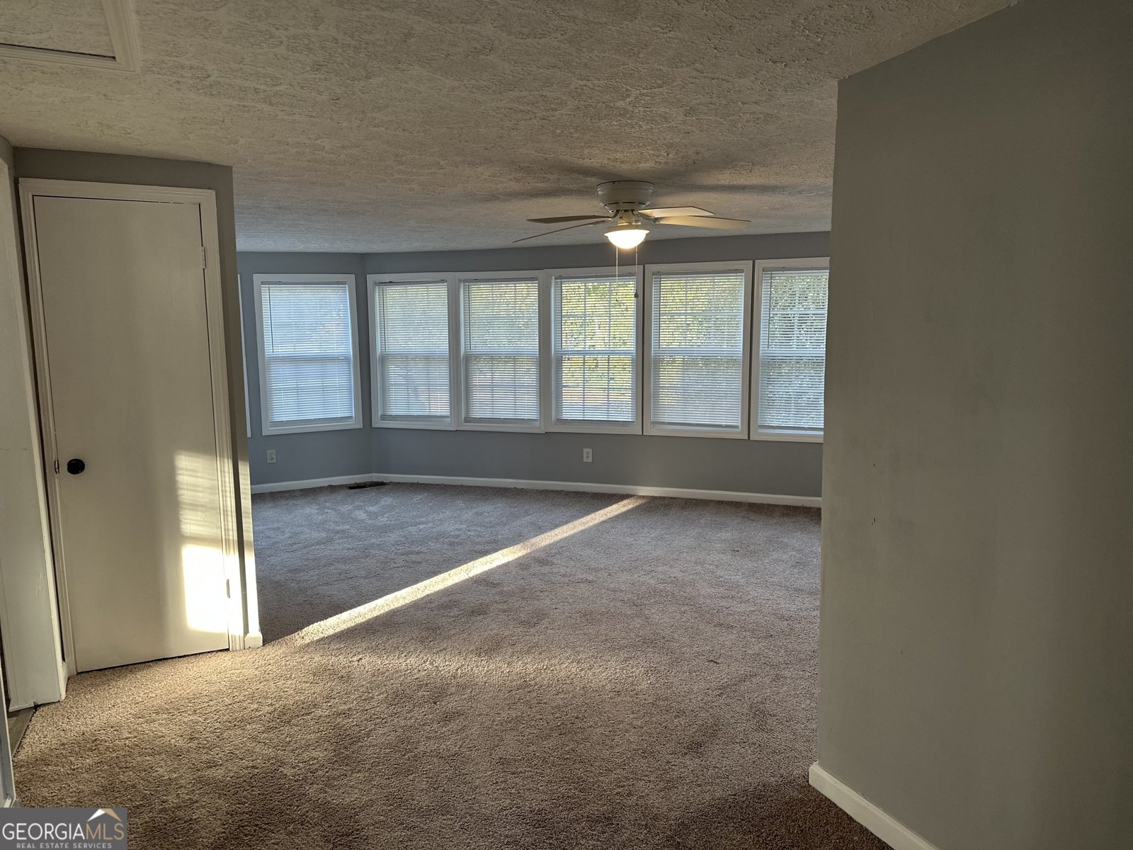 1007 Peek Street Conyers - 10