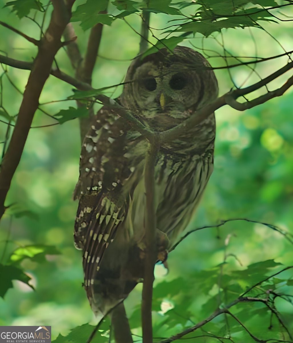 5108 Nicolet Court Marietta - 7