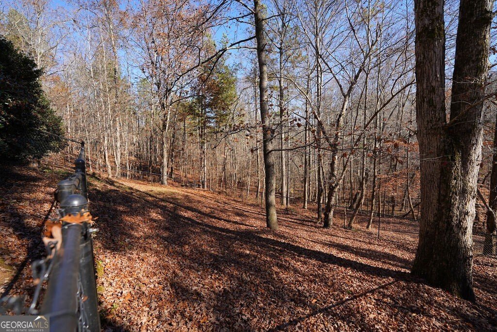 365 Avery Drive Talking Rock - 41