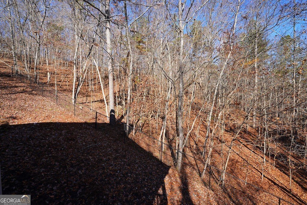 365 Avery Drive Talking Rock - 48