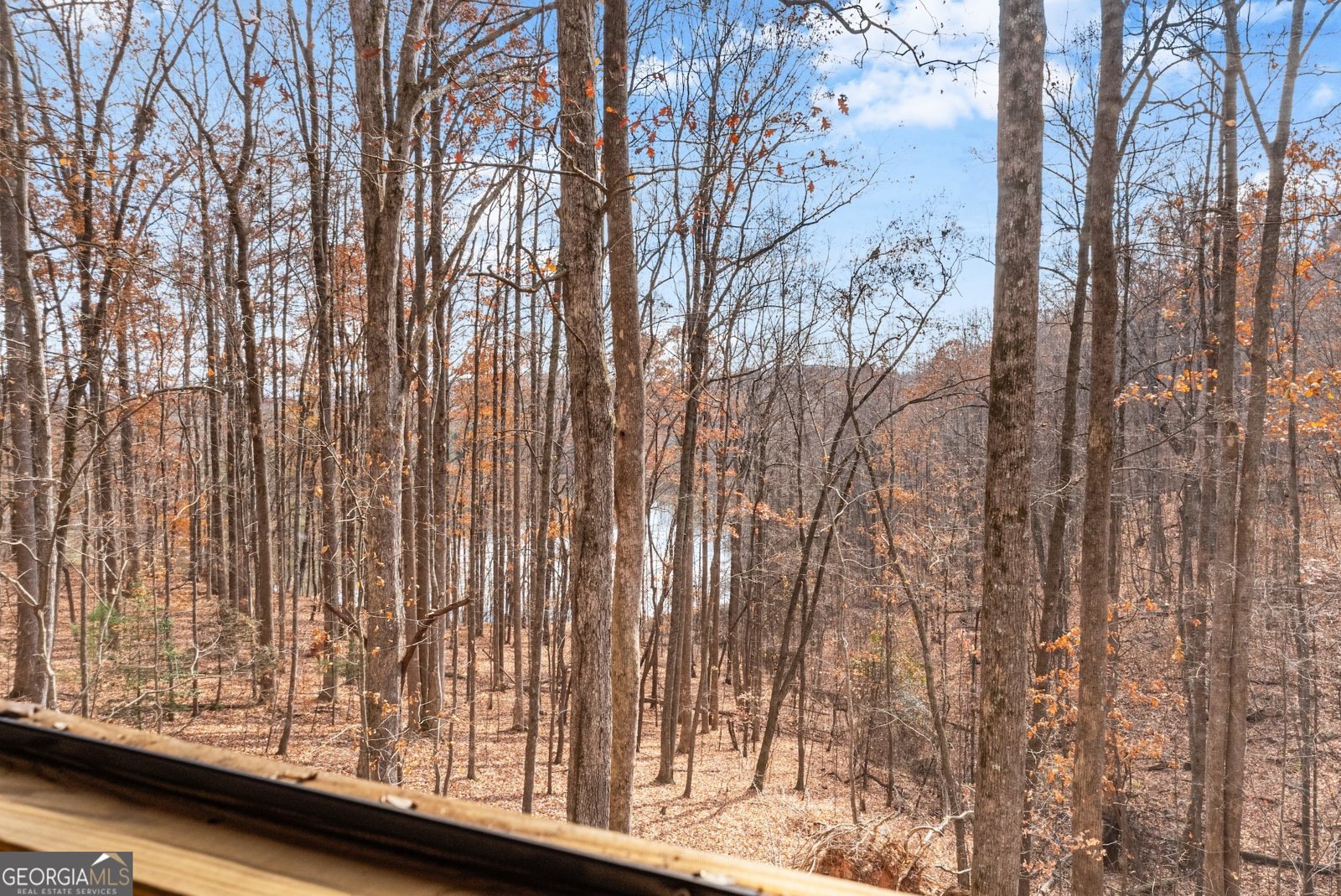 315 Lake Drive Sautee Nacoochee - 17