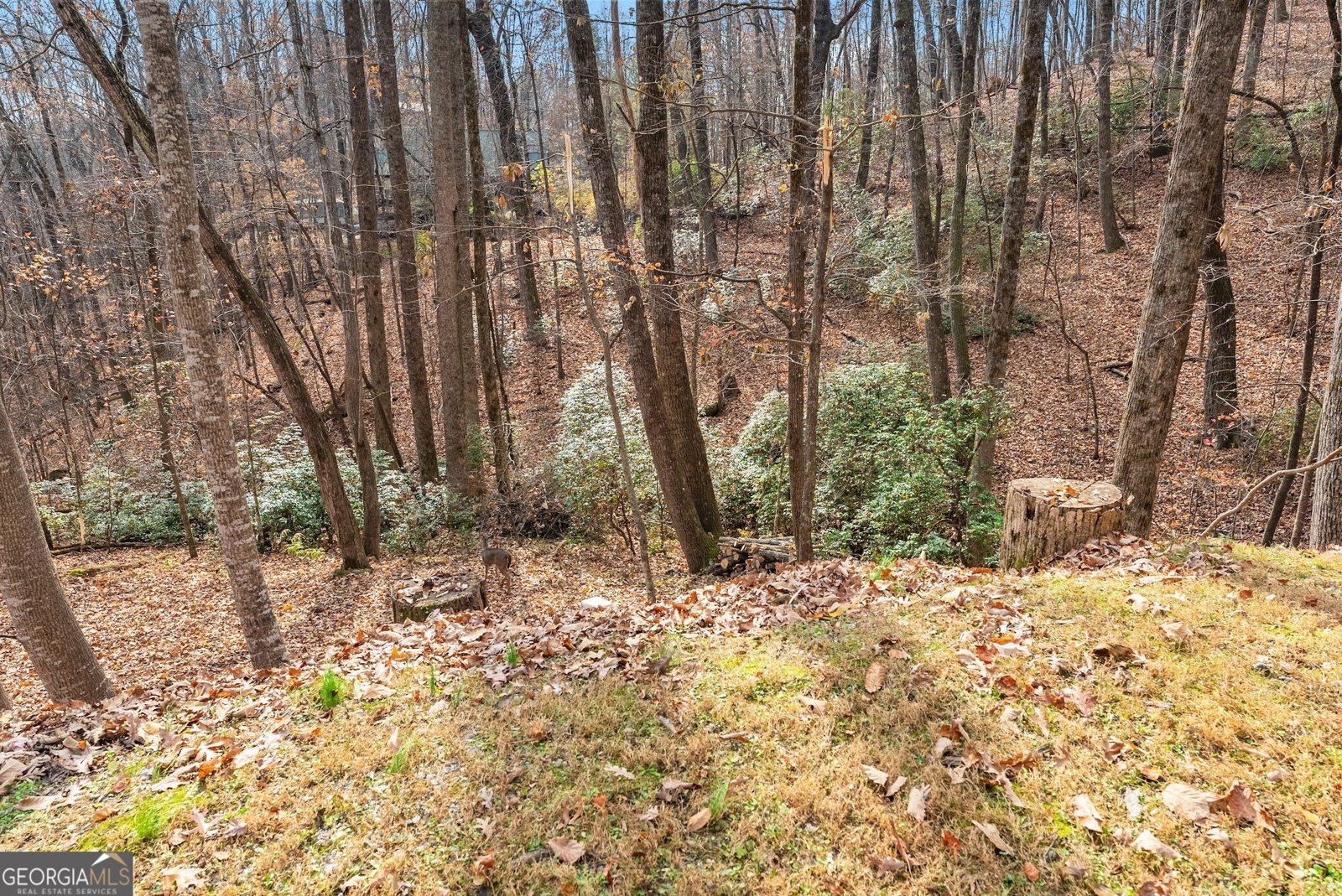 315 Lake Drive Sautee Nacoochee - 44