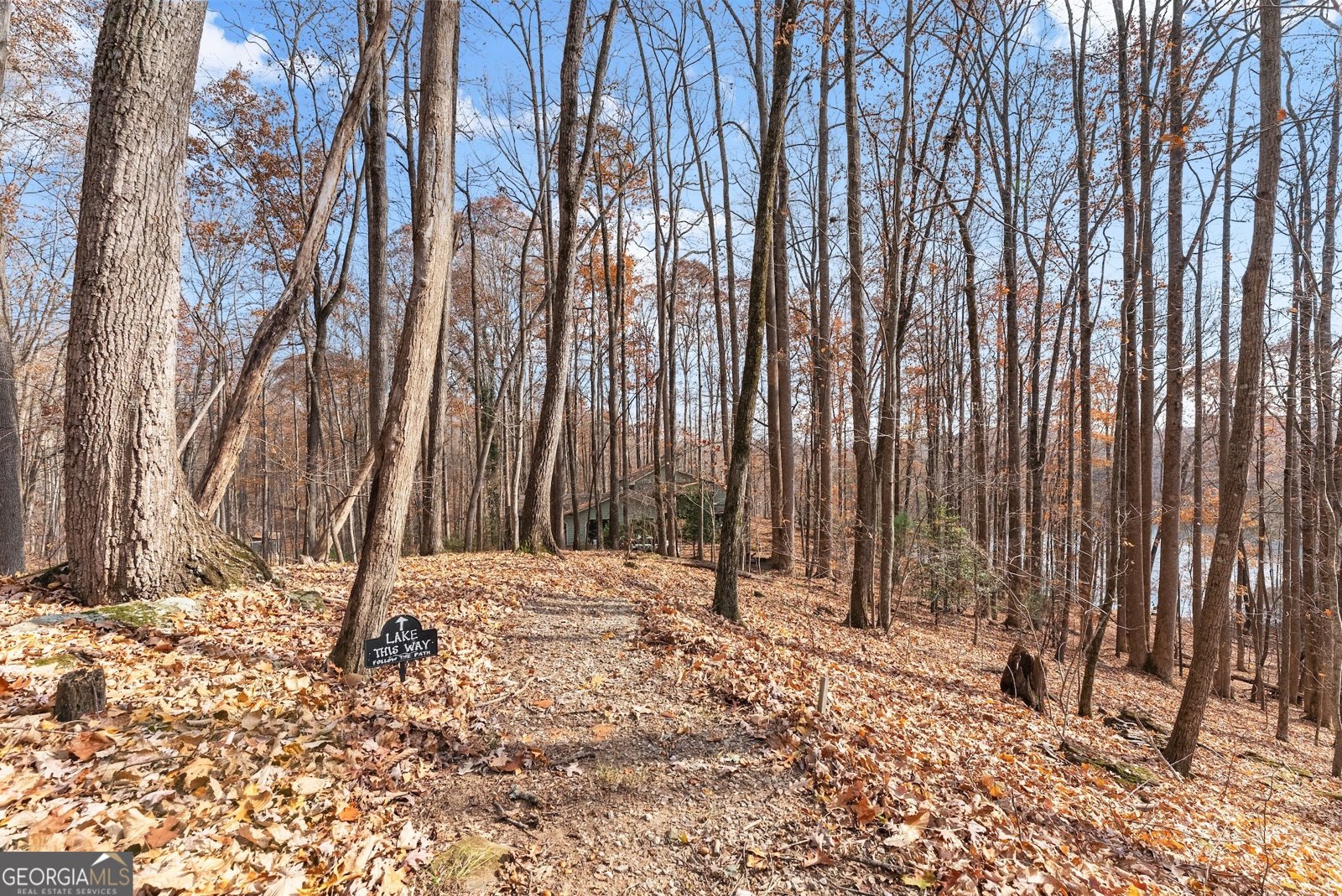 315 Lake Drive Sautee Nacoochee - 51