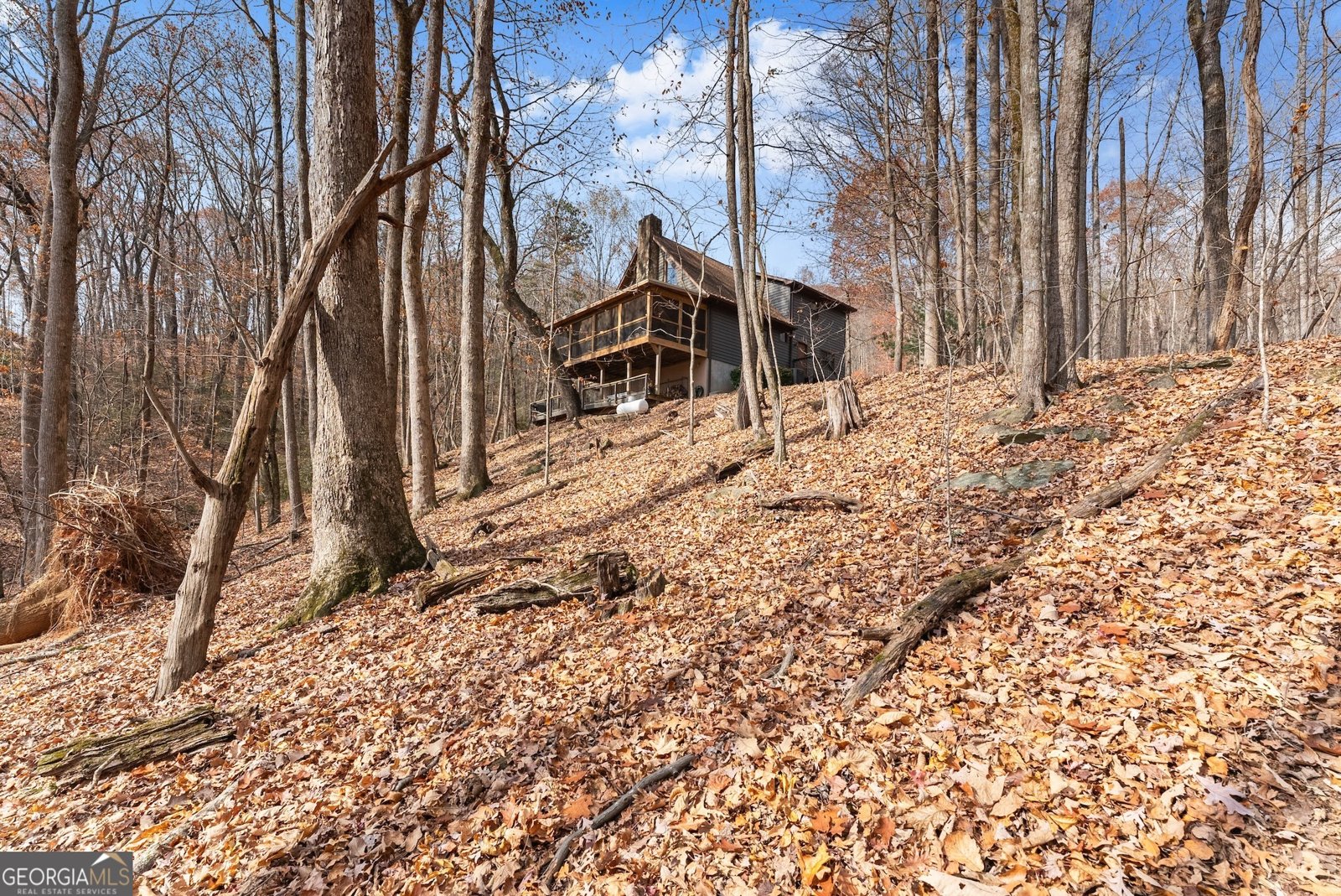 315 Lake Drive Sautee Nacoochee - 52