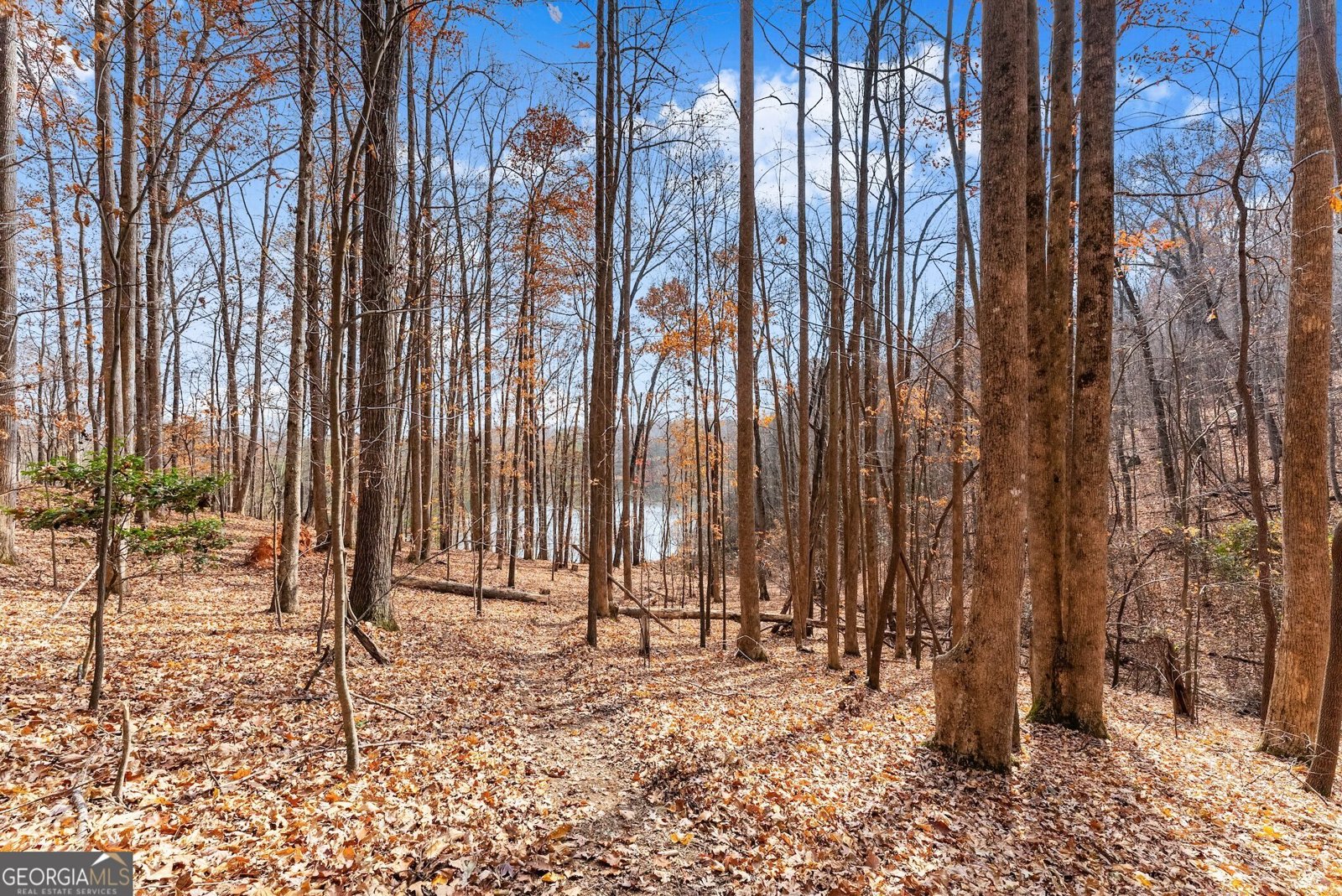 315 Lake Drive Sautee Nacoochee - 53