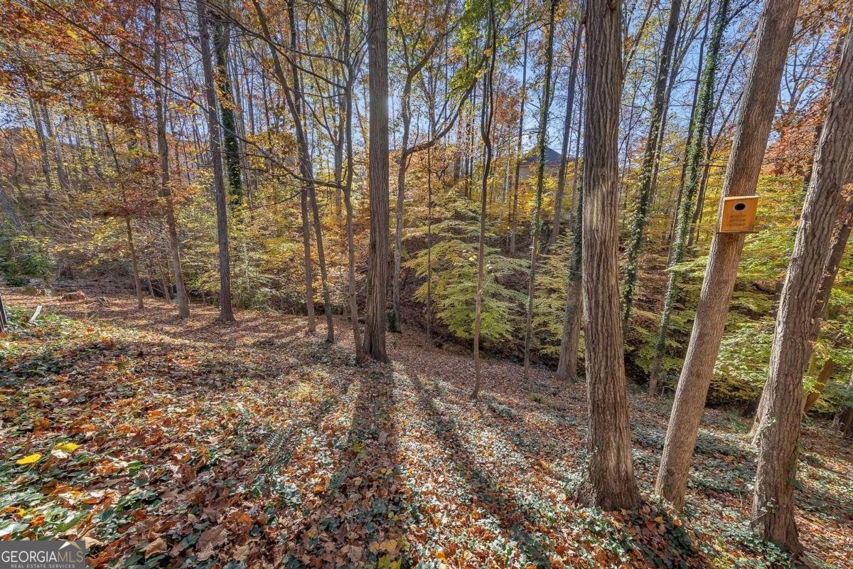 308 Quiet Hill Lane Woodstock - 68