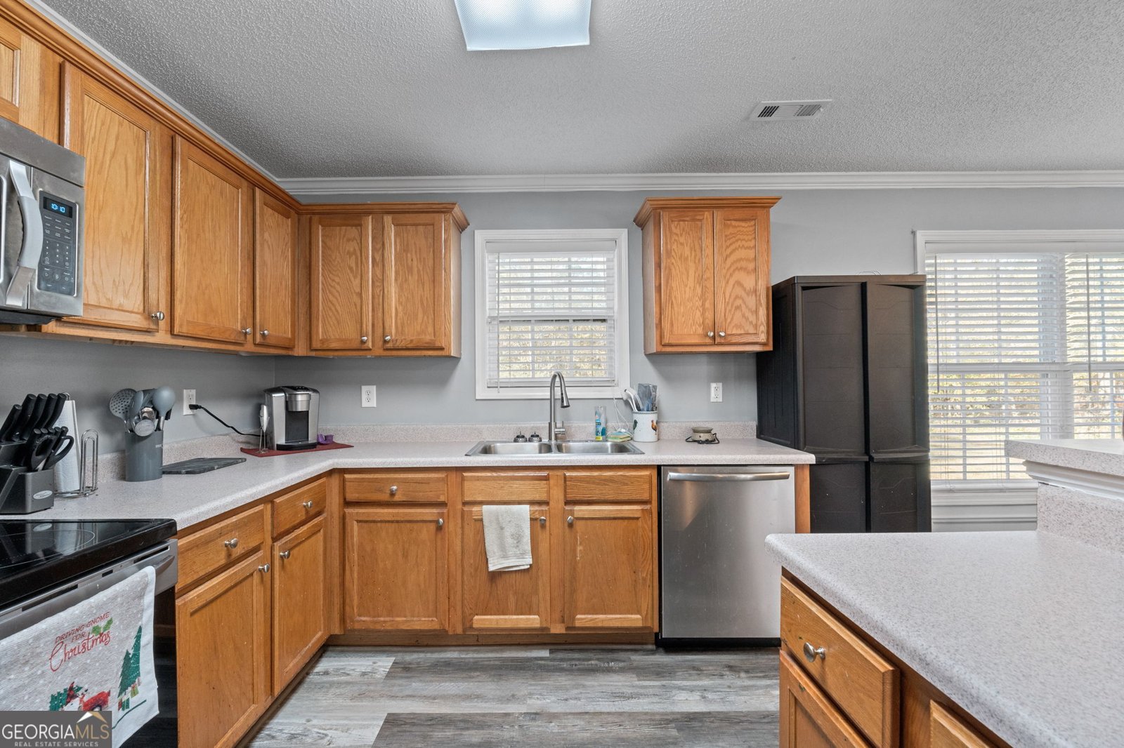 305 Liberty Bell Lane Griffin - 12