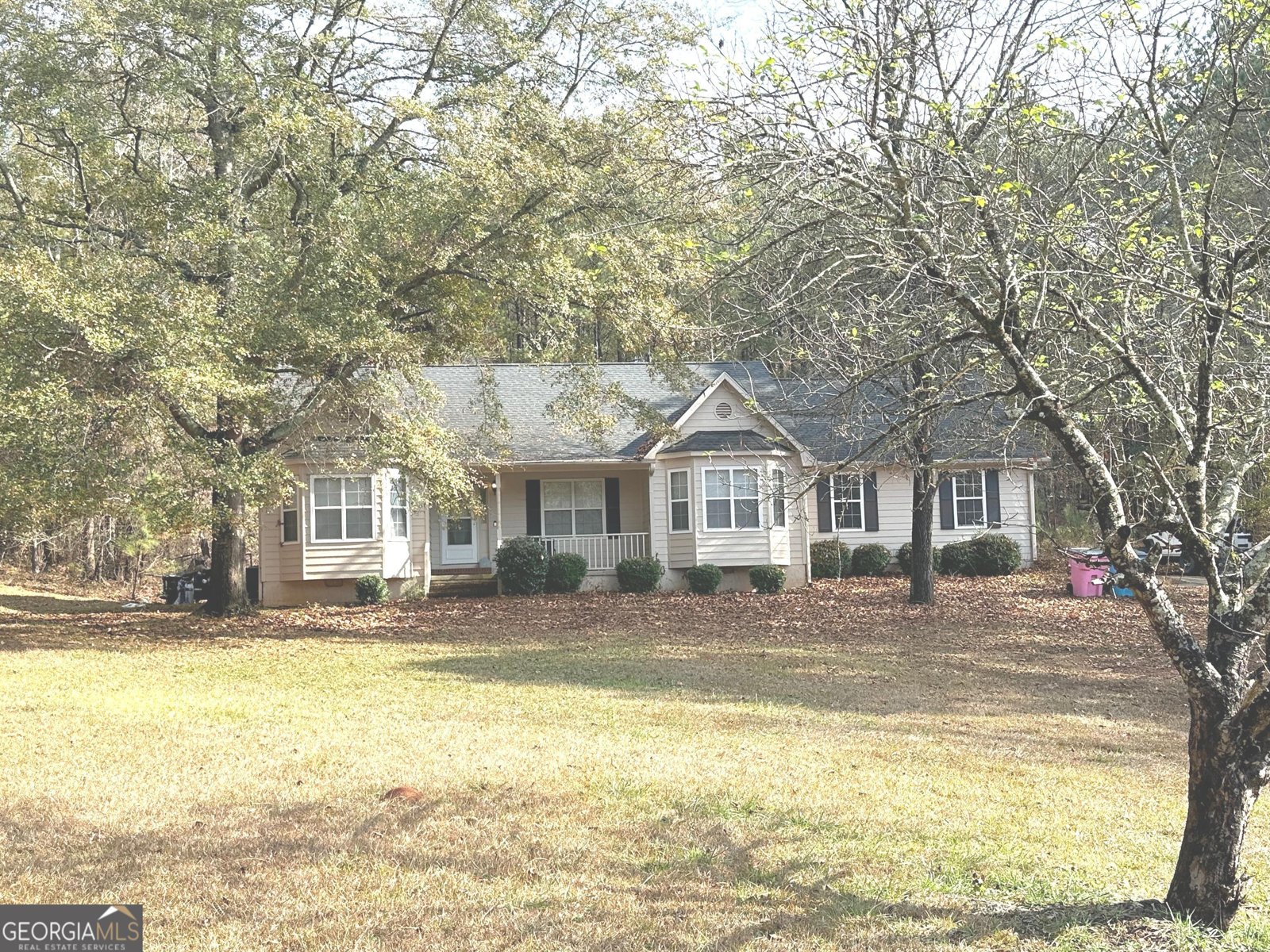 170 Ashley Trace Drive Locust Grove - 1