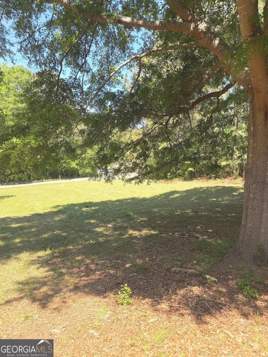 170 Ashley Trace Drive Locust Grove - Photo 23