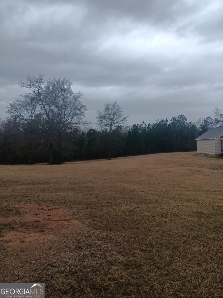 9430 Ga Highway 16 Sparta - 7