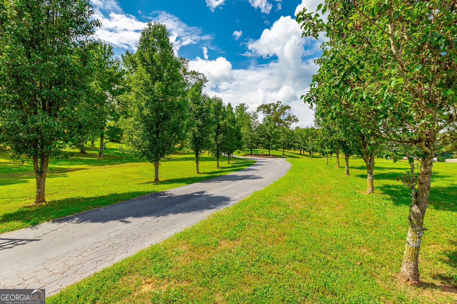 479 Cooper Road Tunnel Hill - 109