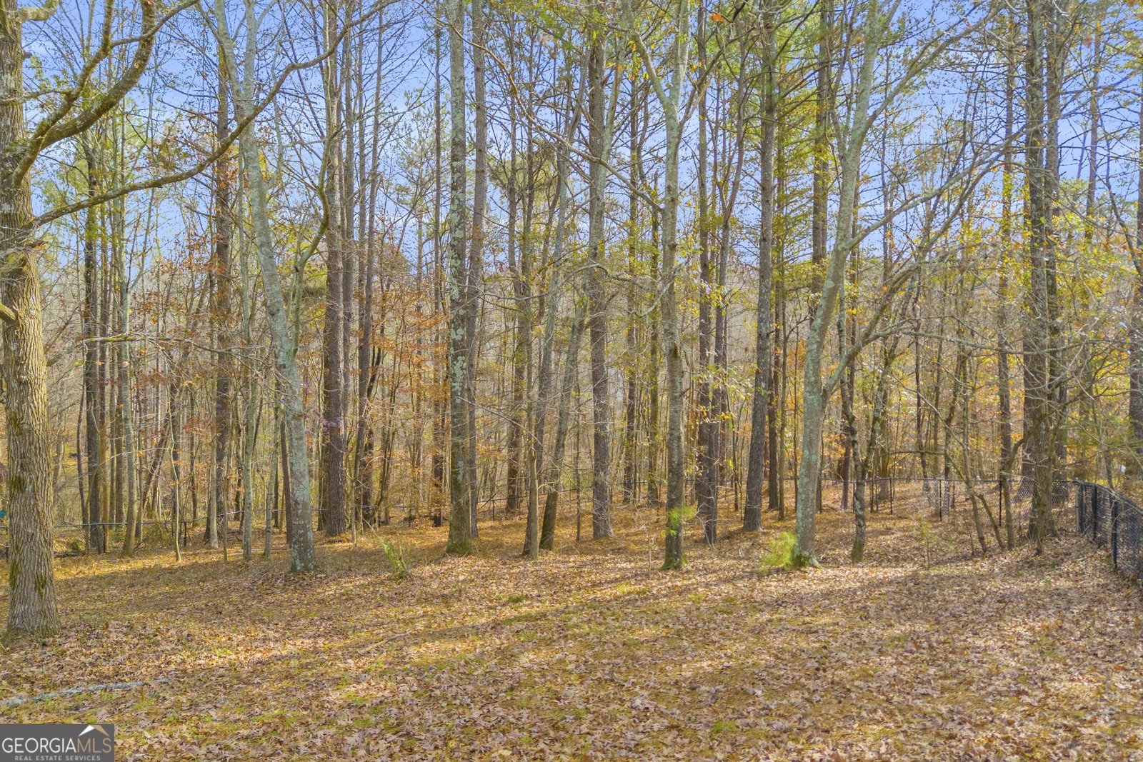 114 River Bluff Hoschton - 50