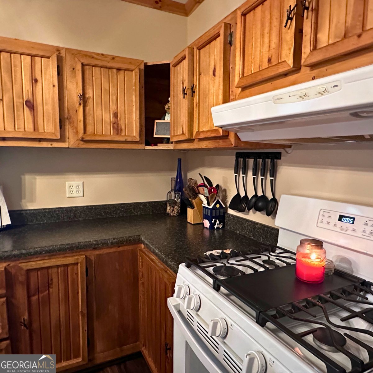 77 Hollow Log Path Cleveland - 11