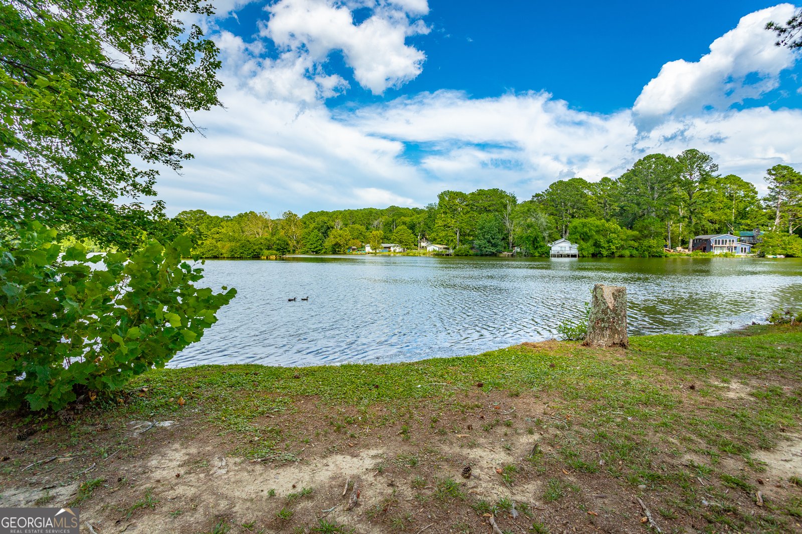 1352 Peggy Lane Tunnel Hill - 2