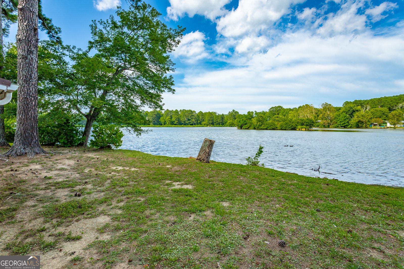 1352 Peggy Lane Tunnel Hill - 3