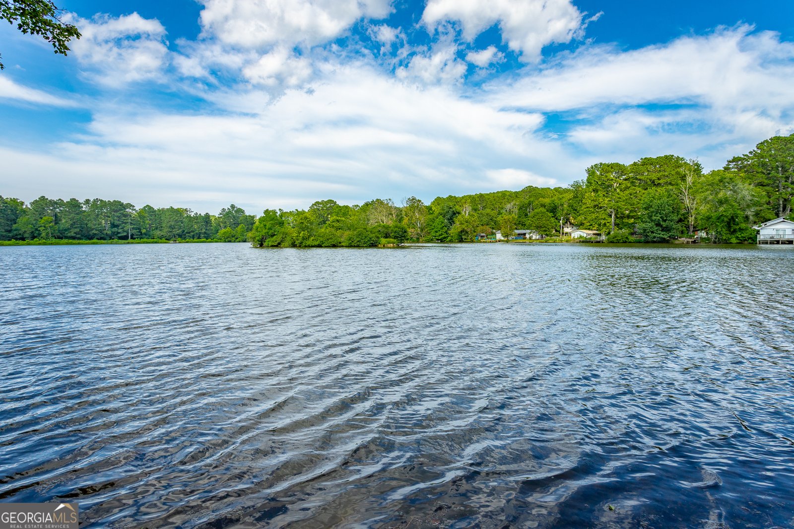 1352 Peggy Lane Tunnel Hill - 4