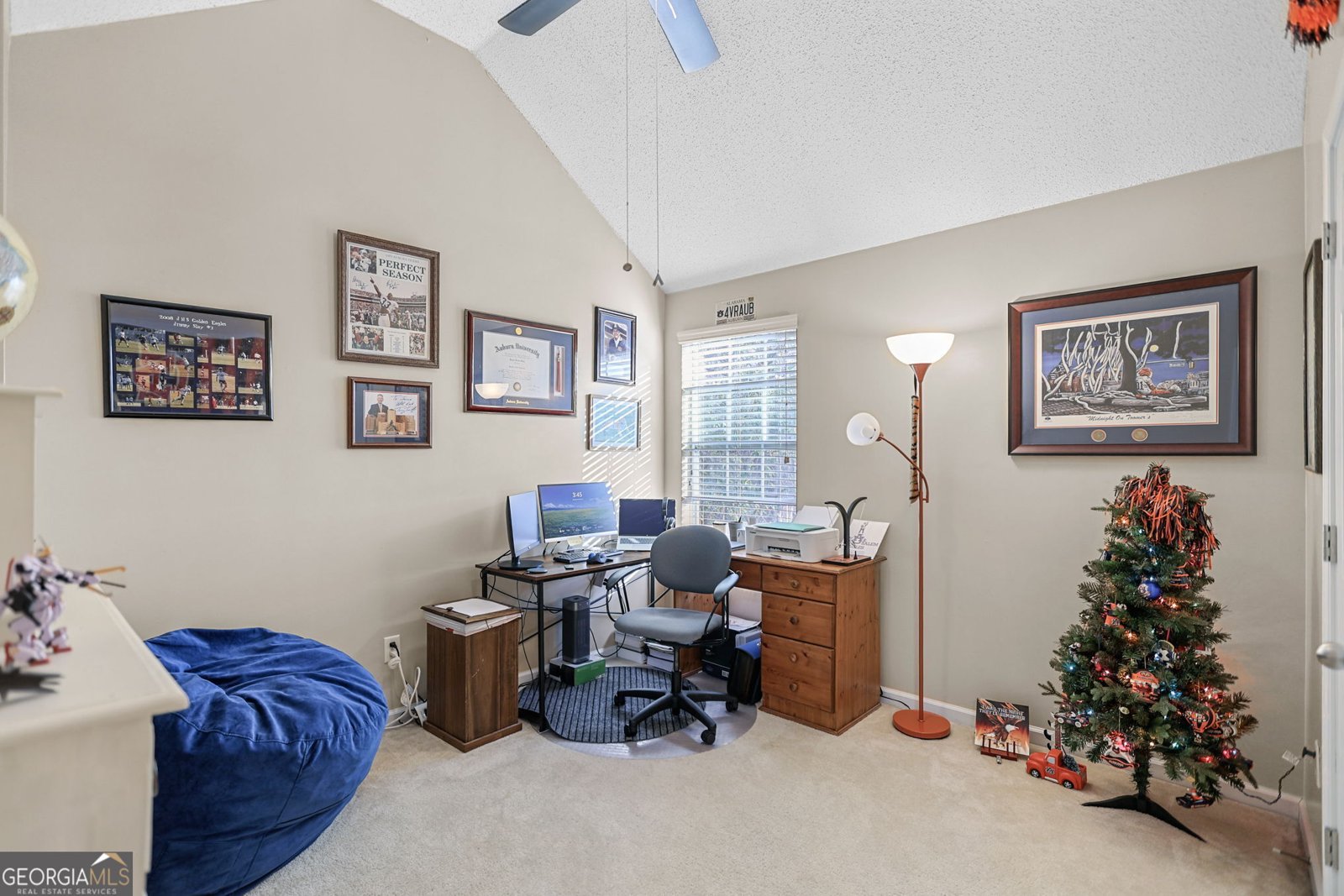 234 Southwind Lane Newnan - 24