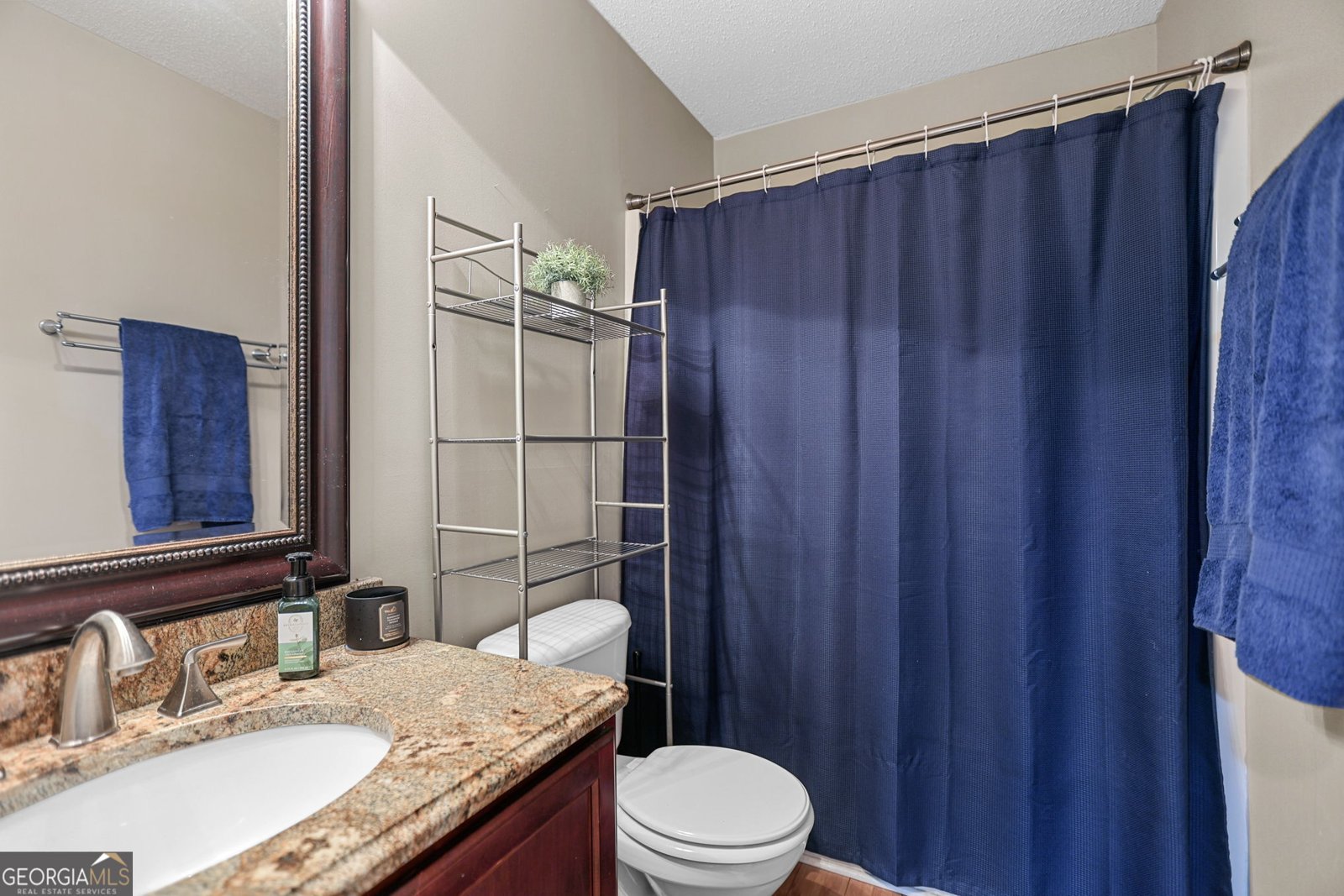 234 Southwind Lane Newnan - 28