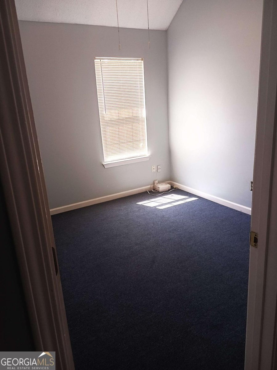 3686 Lower Creek Drive Douglasville - 22