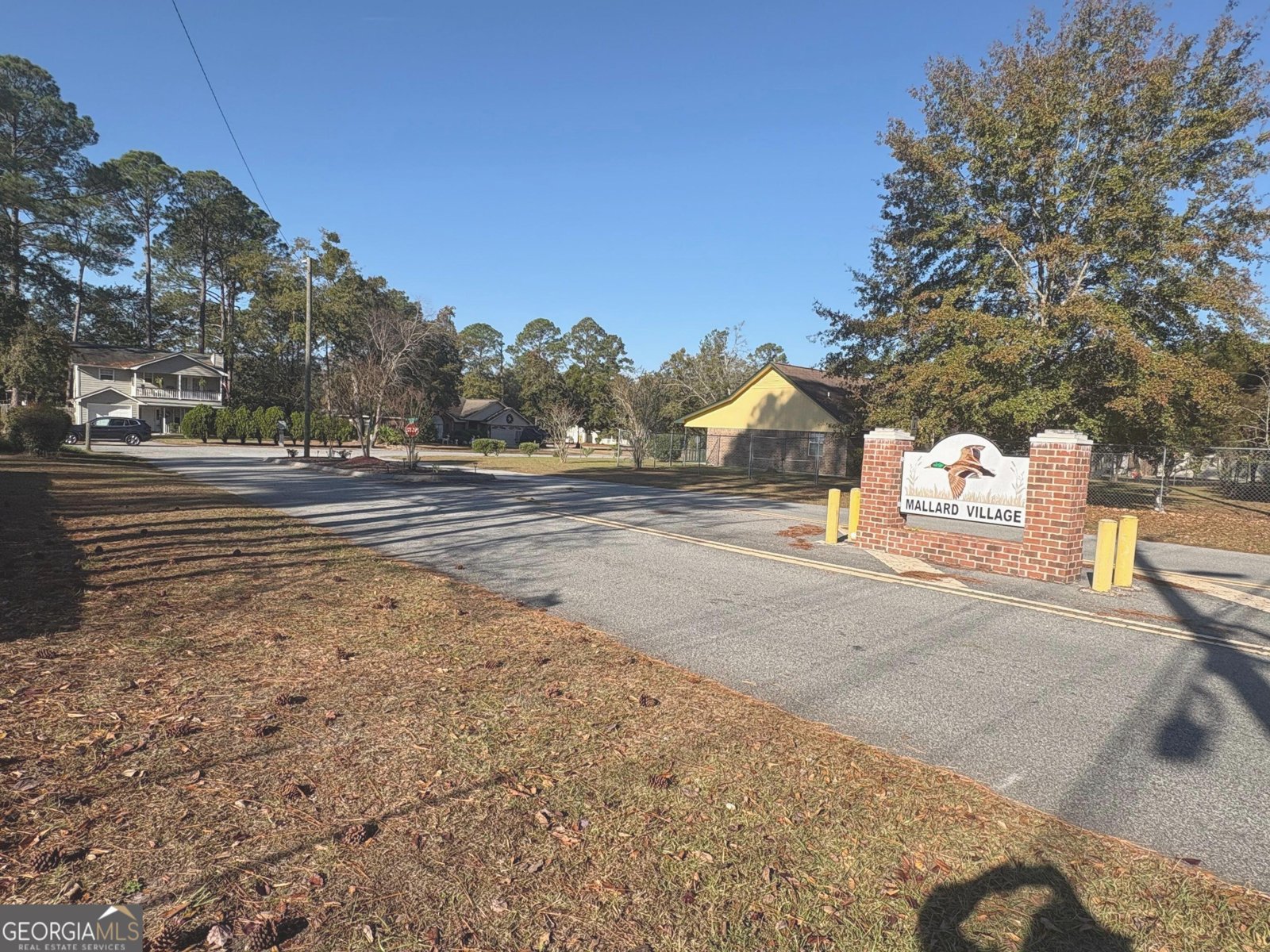 915 Mandarin Drive Hinesville - 53