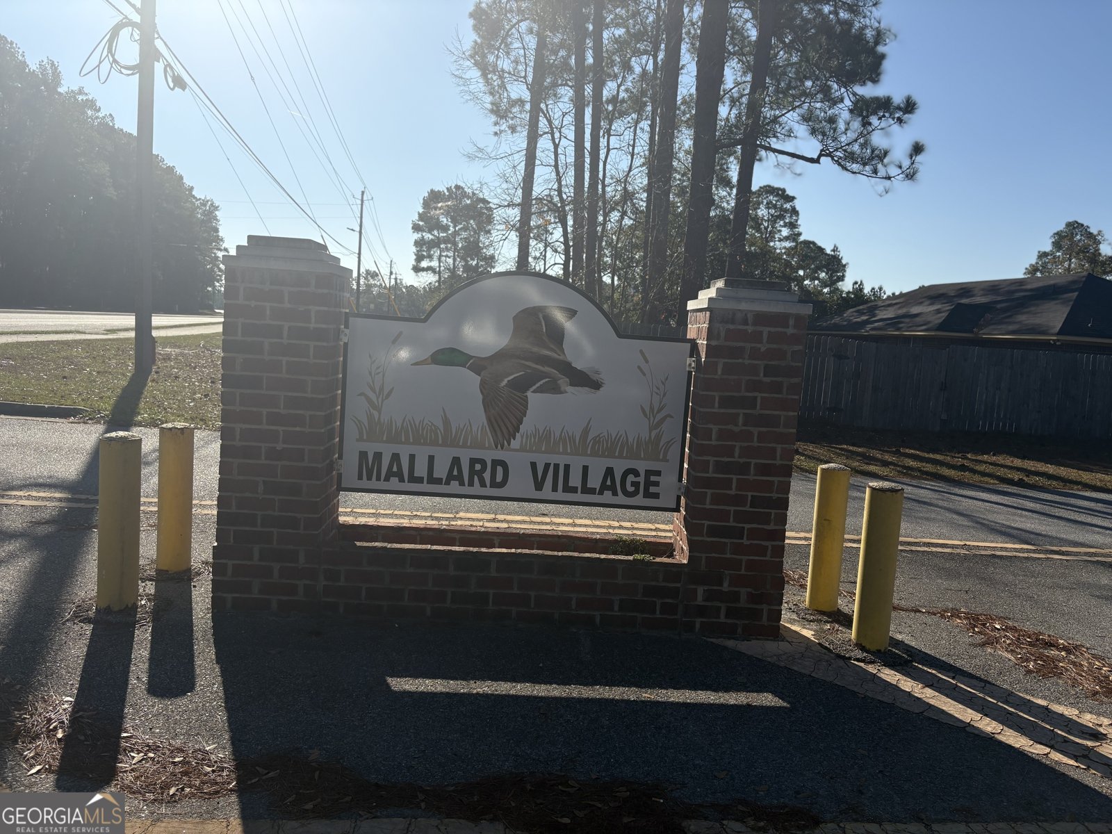 915 Mandarin Drive Hinesville - 54