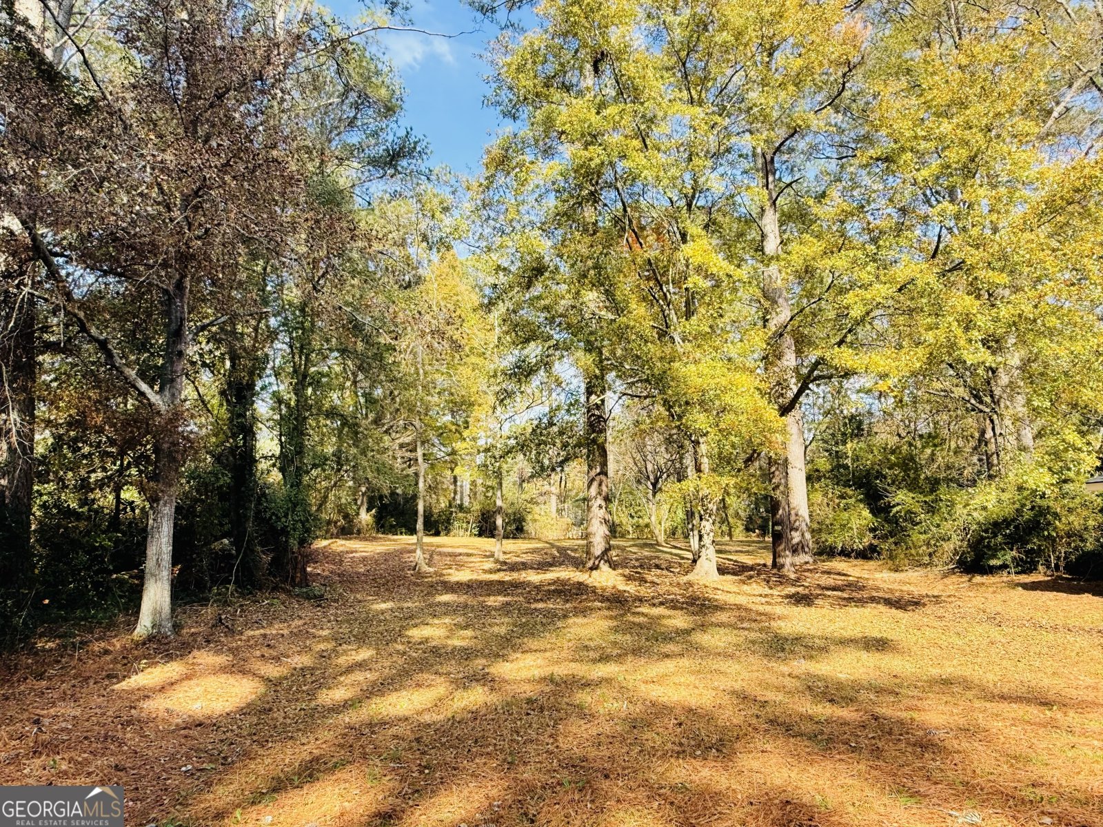 318 Bonnell Street Oxford - 36