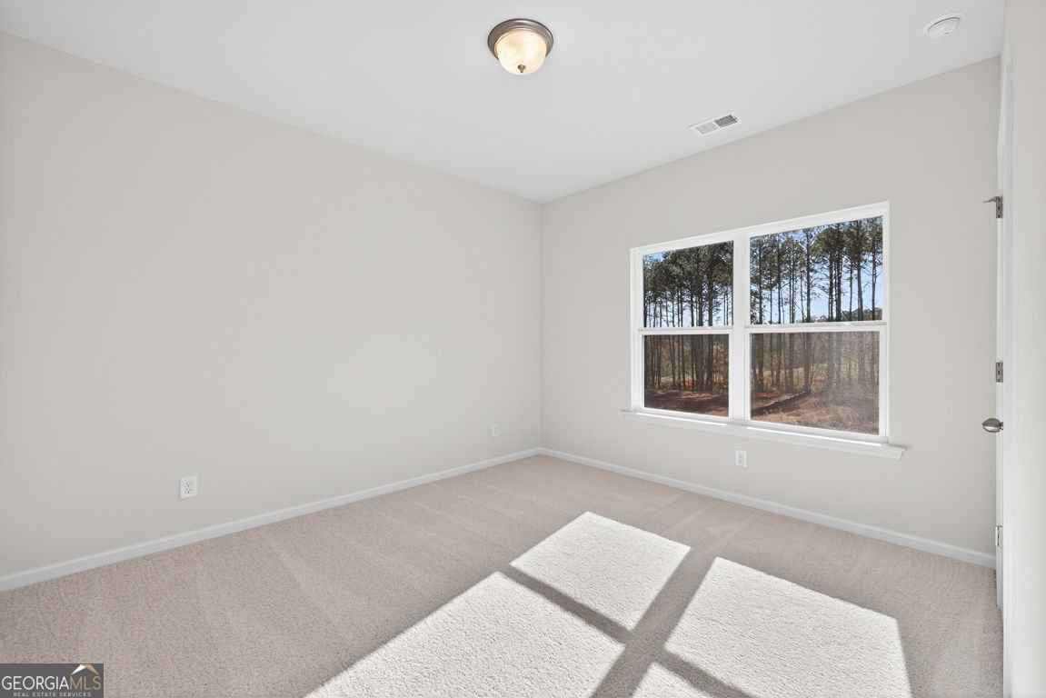 45 Thedford Drive Hoschton - 43