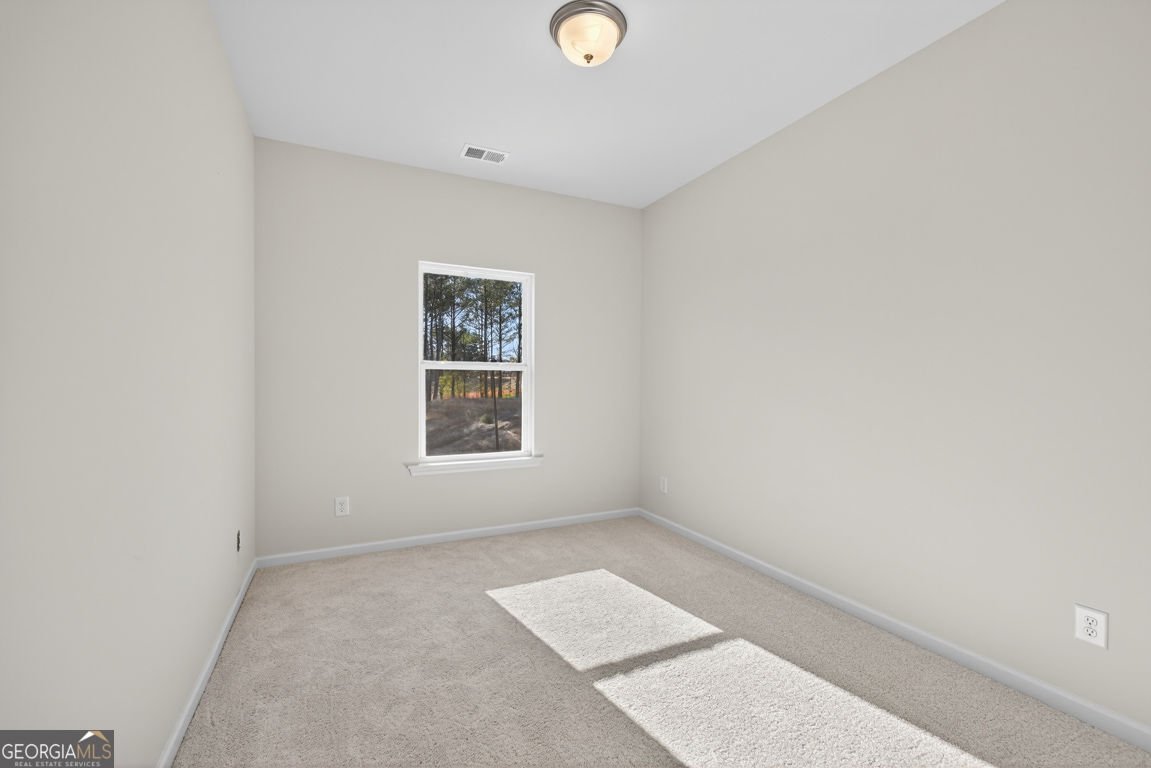 45 Thedford Drive Hoschton - 52