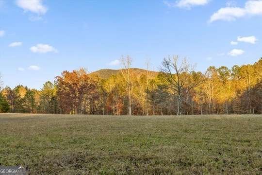 2903 Old Federal Road Chatsworth - 14