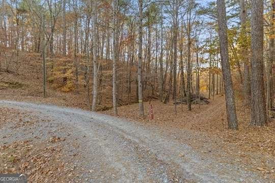 2903 Old Federal Road Chatsworth - 3