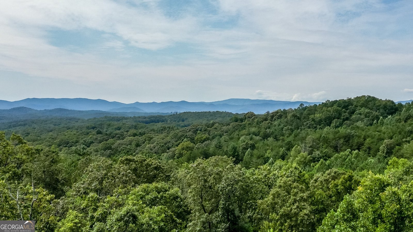 211 Big Timber Road Mineral Bluff - 2