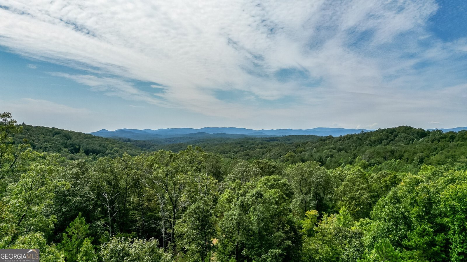 211 Big Timber Road Mineral Bluff - 29