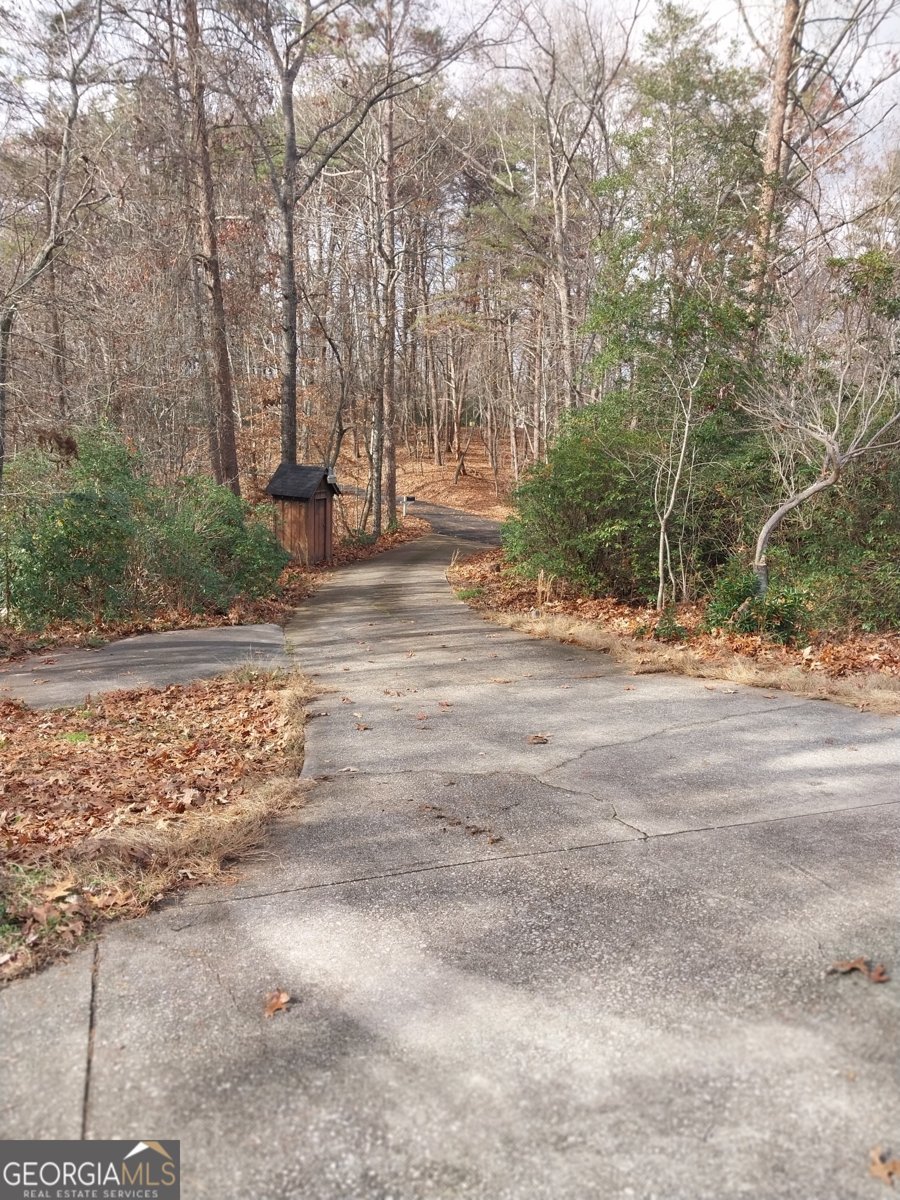 1376 Robinson Road Dahlonega - 14