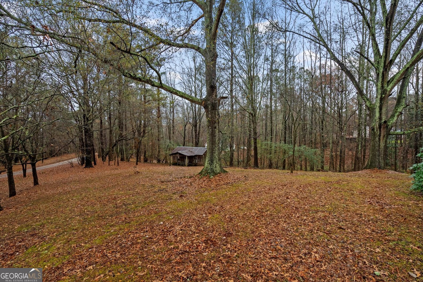 101 3rd Avenue Buchanan - Photo 24